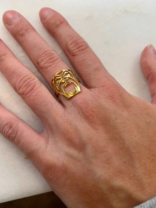 Bulldog-ring-Georgia-Bulldogs-ring.jpeg Bulldog-ring-Georgia-Bulldogs-ring.jpeg