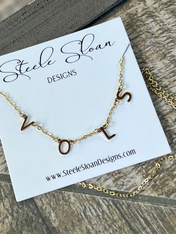 IMG_5007.jpeg IMG_5007.jpeg