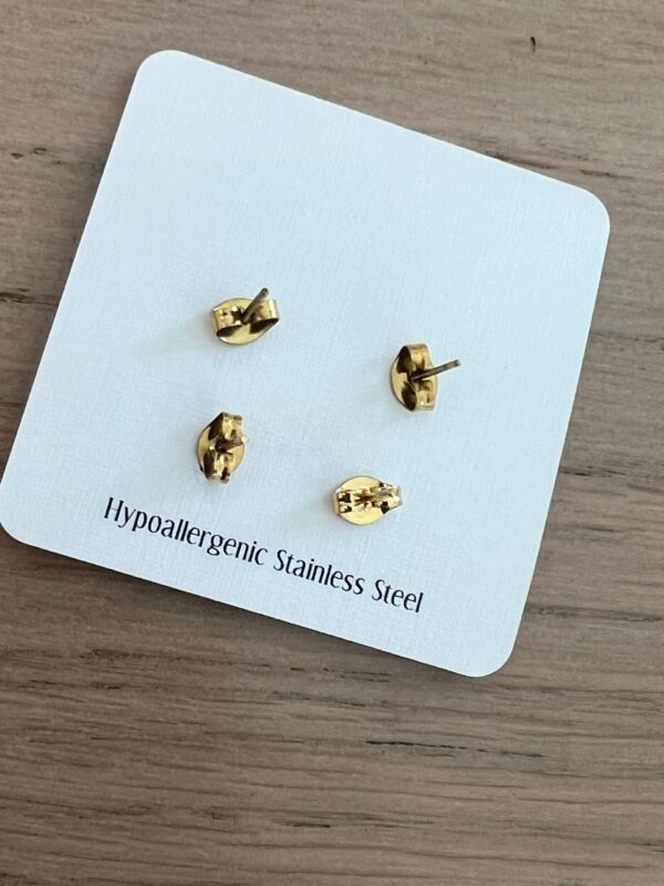 IMG_6466-6318fa8.jpeg IMG_6466-6318fa8.jpeg