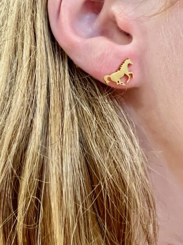 Mustang earrings Mustang earrings