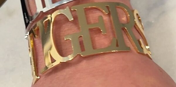 Screenshot202024-08-2320at2010.55.5320AM.jpg Screenshot202024-08-2320at2010.55.5320AM.jpg