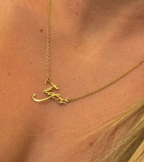 Tigers-name-necklace-go-Tigers-gameday-neckla-1.jpeg Tigers-name-necklace-go-Tigers-gameday-neckla-1.jpeg
